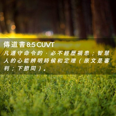 Picture 02 - 傳 道 書 8:5 CUVT - 凡 遵 守 命 令 的 ， 必 不 經 歷 禍 - Bible Verse Picture