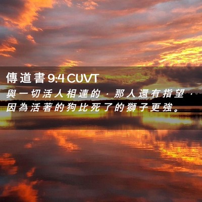 Picture 02 - 傳 道 書 9:4 CUVT - 與 一 切 活 人 相 連 的 ， 那 人 還 - Bible Verse Picture