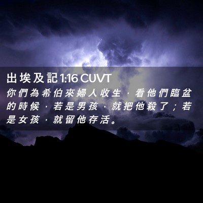 Picture 02 - 出 埃 及 記 1:16 CUVT - 你 們 為 希 伯 來 婦 人 收 生 ， 看 - Bible Verse Picture