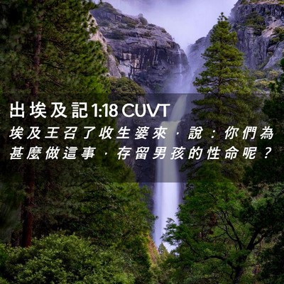 Picture 02 - 出 埃 及 記 1:18 CUVT - 埃 及 王 召 了 收 生 婆 來 ， 說 ： - Bible Verse Picture