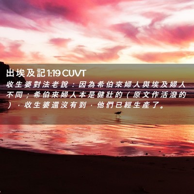 Picture 02 - 出 埃 及 記 1:19 CUVT - 收 生 婆 對 法 老 說 ： 因 為 希 伯 - Bible Verse Picture