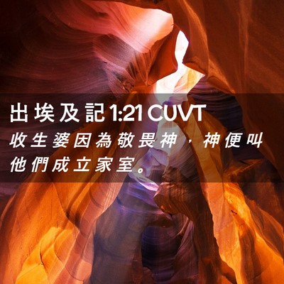Picture 02 - 出 埃 及 記 1:21 CUVT - 收 生 婆 因 為 敬 畏 神 ， 神 便 叫 - Bible Verse Picture