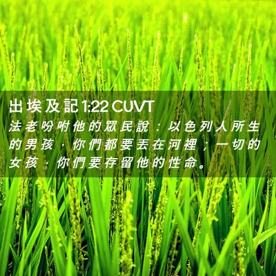 Picture 02 - 出 埃 及 記 1:22 CUVT - 法 老 吩 咐 他 的 眾 民 說 ： 以 色 - Bible Verse Picture