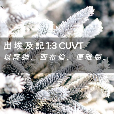 Picture 02 - 出 埃 及 記 1:3 CUVT - 以 薩 迦 、 西 布 倫 、 便 雅 憫 - Bible Verse Picture