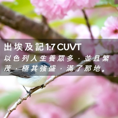 Picture 02 - 出 埃 及 記 1:7 CUVT - 以 色 列 人 生 養 眾 多 ， 並 且 繁 - Bible Verse Picture