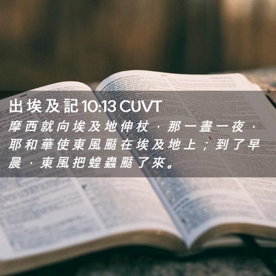 Picture 02 - 出 埃 及 記 10:13 CUVT - 摩 西 就 向 埃 及 地 伸 杖 ， 那 一 - Bible Verse Picture