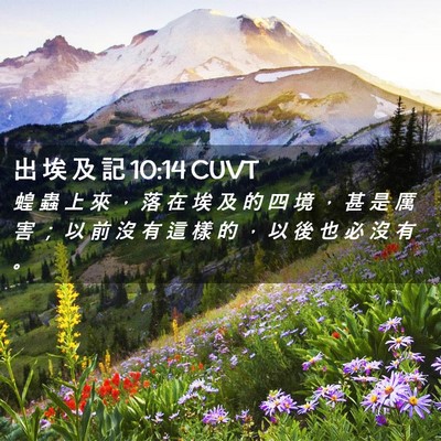 Picture 02 - 出 埃 及 記 10:14 CUVT - 蝗 蟲 上 來 ， 落 在 埃 及 的 四 境 - Bible Verse Picture