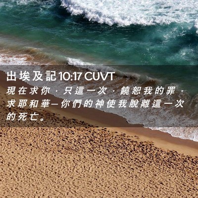 Picture 02 - 出 埃 及 記 10:17 CUVT - 現 在 求 你 ， 只 這 一 次 ， 饒 恕 - Bible Verse Picture