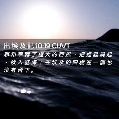 Picture 02 - 出 埃 及 記 10:19 CUVT - 耶 和 華 轉 了 極 大 的 西 風 ， 把 - Bible Verse Picture