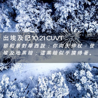 Picture 02 - 出 埃 及 記 10:21 CUVT - 耶 和 華 對 摩 西 說 ： 你 向 天 伸 - Bible Verse Picture