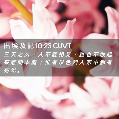 Picture 02 - 出 埃 及 記 10:23 CUVT - 三 天 之 久 ， 人 不 能 相 見 ， 誰 - Bible Verse Picture
