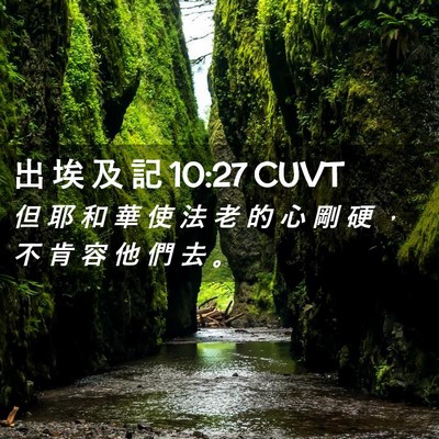 Picture 02 - 出 埃 及 記 10:27 CUVT - 但 耶 和 華 使 法 老 的 心 剛 硬 ， - Bible Verse Picture