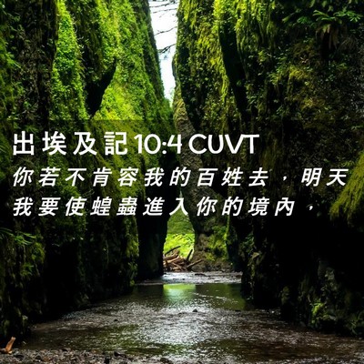 Picture 02 - 出 埃 及 記 10:4 CUVT - 你 若 不 肯 容 我 的 百 姓 去 ， 明 - Bible Verse Picture