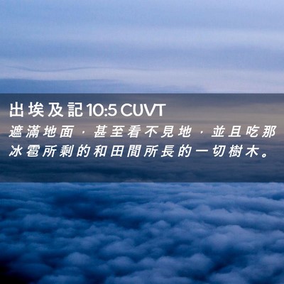 Picture 02 - 出 埃 及 記 10:5 CUVT - 遮 滿 地 面 ， 甚 至 看 不 見 地 ， - Bible Verse Picture