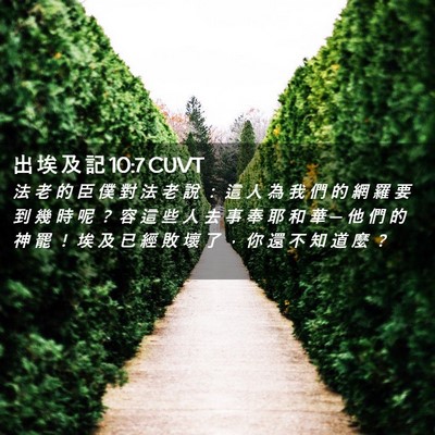 Picture 02 - 出 埃 及 記 10:7 CUVT - 法 老 的 臣 僕 對 法 老 說 ： 這 人 - Bible Verse Picture