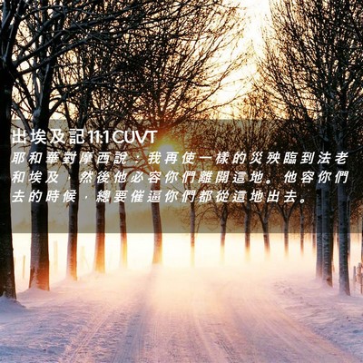 Picture 02 - 出 埃 及 記 11:1 CUVT - 耶 和 華 對 摩 西 說 ： 我 再 使 一 - Bible Verse Picture