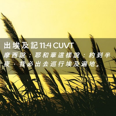 Picture 02 - 出 埃 及 記 11:4 CUVT - 摩 西 說 ： 耶 和 華 這 樣 說 ： 約 - Bible Verse Picture
