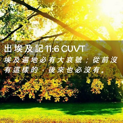 Picture 02 - 出 埃 及 記 11:6 CUVT - 埃 及 遍 地 必 有 大 哀 號 ； 從 前 - Bible Verse Picture
