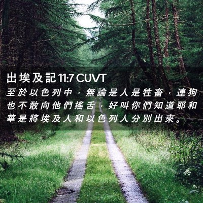 Picture 02 - 出 埃 及 記 11:7 CUVT - 至 於 以 色 列 中 ， 無 論 是 人 是 - Bible Verse Picture