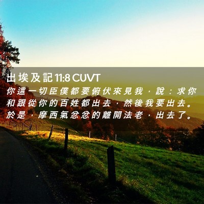 Picture 02 - 出 埃 及 記 11:8 CUVT - 你 這 一 切 臣 僕 都 要 俯 伏 來 見 - Bible Verse Picture