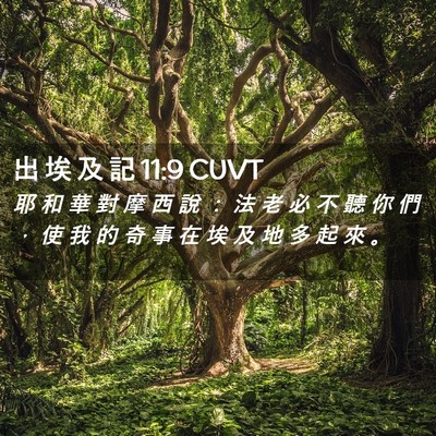 Picture 02 - 出 埃 及 記 11:9 CUVT - 耶 和 華 對 摩 西 說 ： 法 老 必 不 - Bible Verse Picture