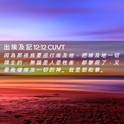 Picture 02 - 出 埃 及 記 12:12 CUVT - 因 為 那 夜 我 要 巡 行 埃 及 地 ， - Bible Verse Picture