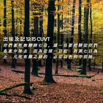 Picture 02 - 出 埃 及 記 12:15 CUVT - 你 們 要 吃 無 酵 餅 七 日 。 頭 一 - Bible Verse Picture