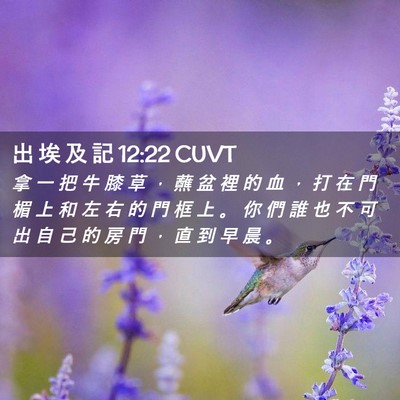 Picture 02 - 出 埃 及 記 12:22 CUVT - 拿 一 把 牛 膝 草 ， 蘸 盆 裡 的 血 - Bible Verse Picture