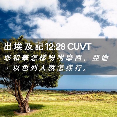 Picture 02 - 出 埃 及 記 12:28 CUVT - 耶 和 華 怎 樣 吩 咐 摩 西 、 亞 倫 - Bible Verse Picture