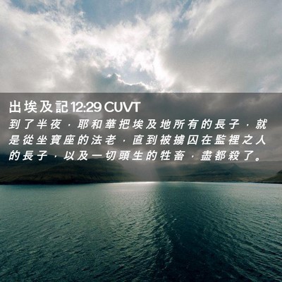 Picture 02 - 出 埃 及 記 12:29 CUVT - 到 了 半 夜 ， 耶 和 華 把 埃 及 地 - Bible Verse Picture