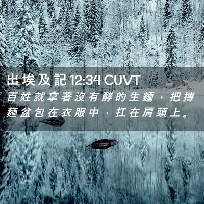Picture 02 - 出 埃 及 記 12:34 CUVT - 百 姓 就 拿 著 沒 有 酵 的 生 麵 ， - Bible Verse Picture