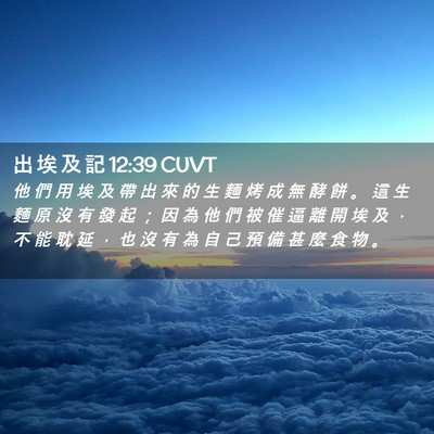 Picture 02 - 出 埃 及 記 12:39 CUVT - 他 們 用 埃 及 帶 出 來 的 生 麵 烤 - Bible Verse Picture