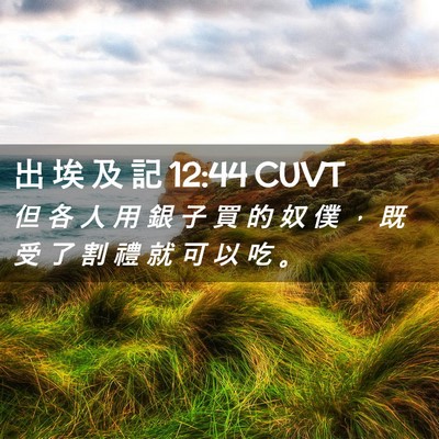 Picture 02 - 出 埃 及 記 12:44 CUVT - 但 各 人 用 銀 子 買 的 奴 僕 ， 既 - Bible Verse Picture