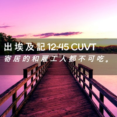 Picture 02 - 出 埃 及 記 12:45 CUVT - 寄 居 的 和 雇 工 人 都 不 可 吃 - Bible Verse Picture