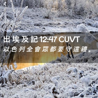 Picture 02 - 出 埃 及 記 12:47 CUVT - 以 色 列 全 會 眾 都 要 守 這 禮 - Bible Verse Picture