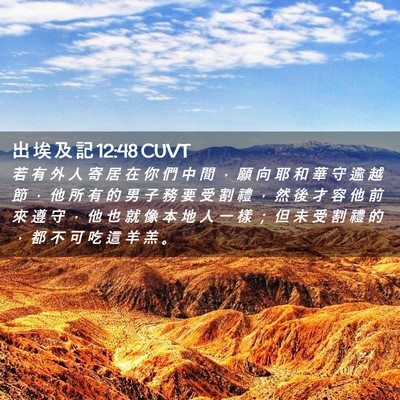 Picture 02 - 出 埃 及 記 12:48 CUVT - 若 有 外 人 寄 居 在 你 們 中 間 ， - Bible Verse Picture