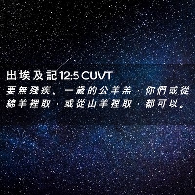 Picture 02 - 出 埃 及 記 12:5 CUVT - 要 無 殘 疾 、 一 歲 的 公 羊 羔 ， - Bible Verse Picture