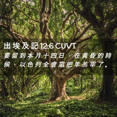 Picture 02 - 出 埃 及 記 12:6 CUVT - 要 留 到 本 月 十 四 日 ， 在 黃 昏 - Bible Verse Picture