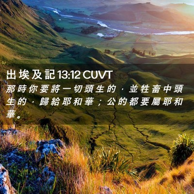 Picture 02 - 出 埃 及 記 13:12 CUVT - 那 時 你 要 將 一 切 頭 生 的 ， 並 - Bible Verse Picture