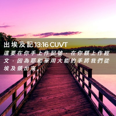 Picture 02 - 出 埃 及 記 13:16 CUVT - 這 要 在 你 手 上 作 記 號 ， 在 你 - Bible Verse Picture
