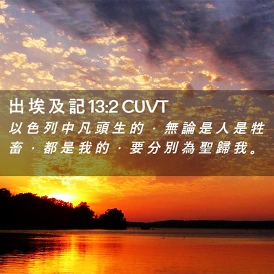 Picture 02 - 出 埃 及 記 13:2 CUVT - 以 色 列 中 凡 頭 生 的 ， 無 論 是 - Bible Verse Picture
