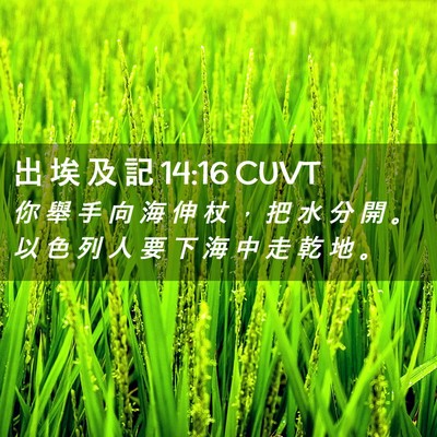 Picture 02 - 出 埃 及 記 14:16 CUVT - 你 舉 手 向 海 伸 杖 ， 把 水 分 開 - Bible Verse Picture