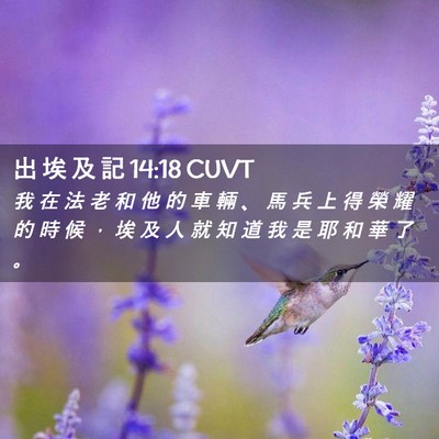 Picture 02 - 出 埃 及 記 14:18 CUVT - 我 在 法 老 和 他 的 車 輛 、 馬 兵 - Bible Verse Picture