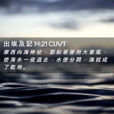 Picture 02 - 出 埃 及 記 14:21 CUVT - 摩 西 向 海 伸 杖 ， 耶 和 華 便 用 - Bible Verse Picture