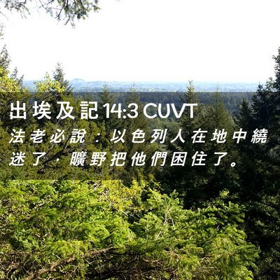 Picture 02 - 出 埃 及 記 14:3 CUVT - 法 老 必 說 ： 以 色 列 人 在 地 中 - Bible Verse Picture