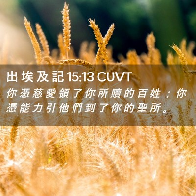 Picture 02 - 出 埃 及 記 15:13 CUVT - 你 憑 慈 愛 領 了 你 所 贖 的 百 姓 - Bible Verse Picture