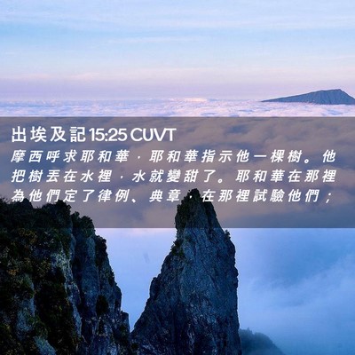 Picture 02 - 出 埃 及 記 15:25 CUVT - 摩 西 呼 求 耶 和 華 ， 耶 和 華 指 - Bible Verse Picture