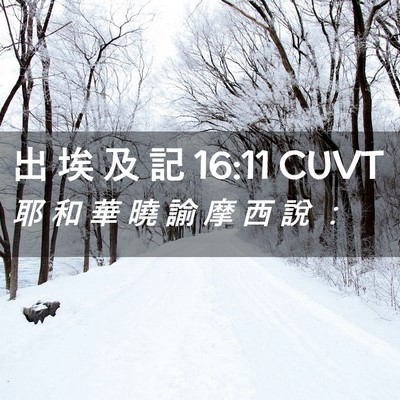 Picture 02 - 出 埃 及 記 16:11 CUVT - 耶 和 華 曉 諭 摩 西 說 - Bible Verse Picture