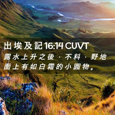 Picture 02 - 出 埃 及 記 16:14 CUVT - 露 水 上 升 之 後 ， 不 料 ， 野 地 - Bible Verse Picture
