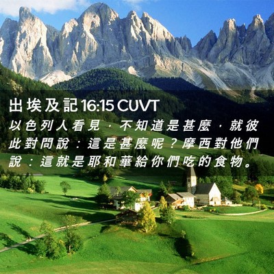 Picture 02 - 出 埃 及 記 16:15 CUVT - 以 色 列 人 看 見 ， 不 知 道 是 甚 - Bible Verse Picture